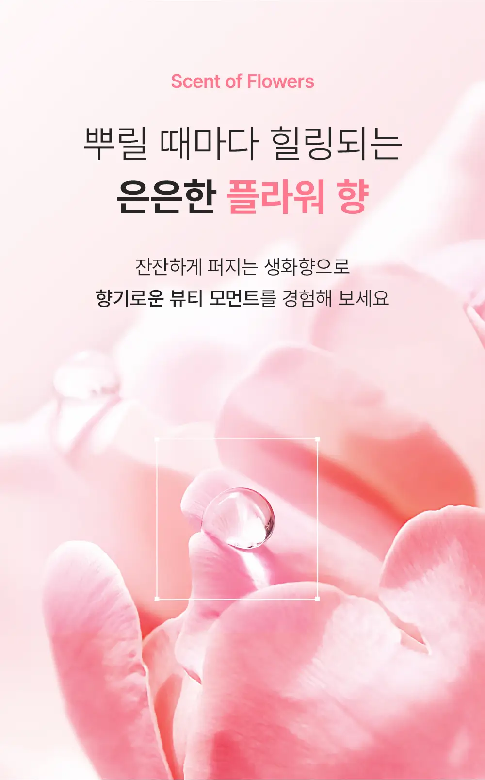 [겔크림 미니 증정] [겉쫀속촉/화잘먹] 웰더마 PDRN 엑소좀 젤리 겔 미스트 100ml 상세페이지 30